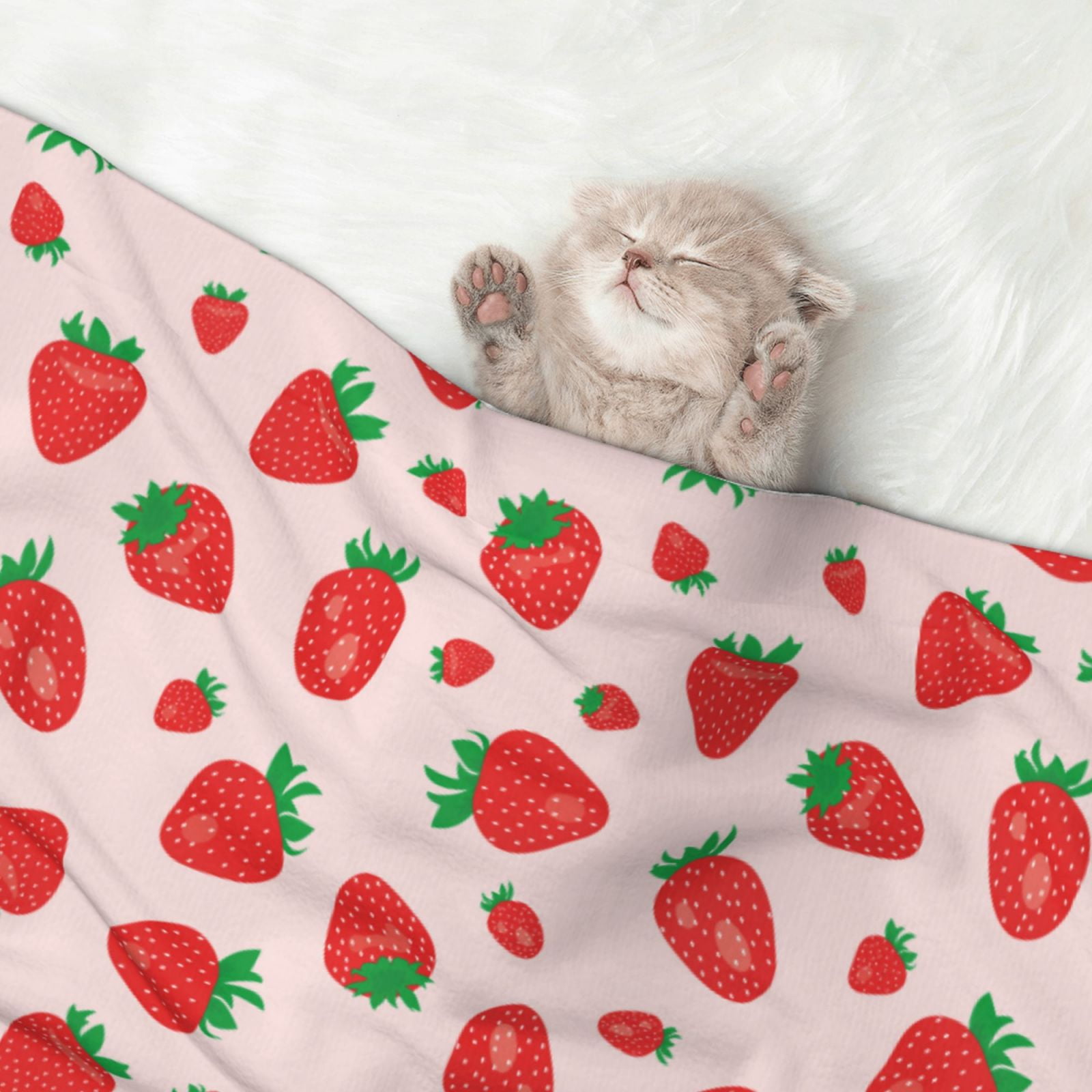 Naloa Strawberries Dog Blanket, 3 Sizes Cat Blanket for Indoor Cats Large Medium Small Dog Gifts-Medium