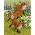 thumbnail image 1 of Carolines Treasures ASA2083GF Fox Cubs Flag Garden Size, 1 of 3
