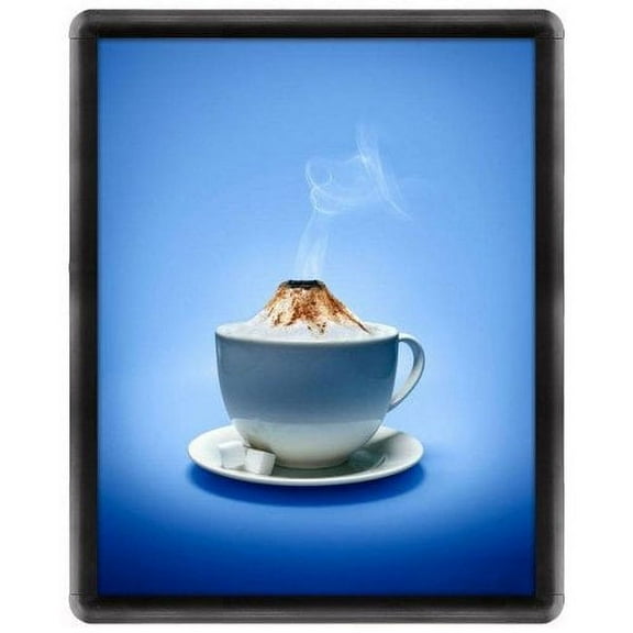 MT Displays Snap Frame