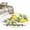 LightYellow, variant on Yellow Lemon 2'x6' Runner Rugs for Hallway Kitchen Bedside Non Slip Washable, Summer Farmhouse Fruits Birds Leaves Plaid Entryway Rug Runners with Rubber Backing, Long Carpet Runner for Laundry Room
