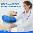 thumbnail image 3 of Inflatable Dog Cone (Large), After Surgery Anti-Bite Lick Wound Soft & Comfortable Protective Collar for Cats & Dogs by EcoEarth, 3 of 9