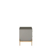 Manhattan Comfort Jasper Engineered Wood Nightstand in Gray Gloss/Gold