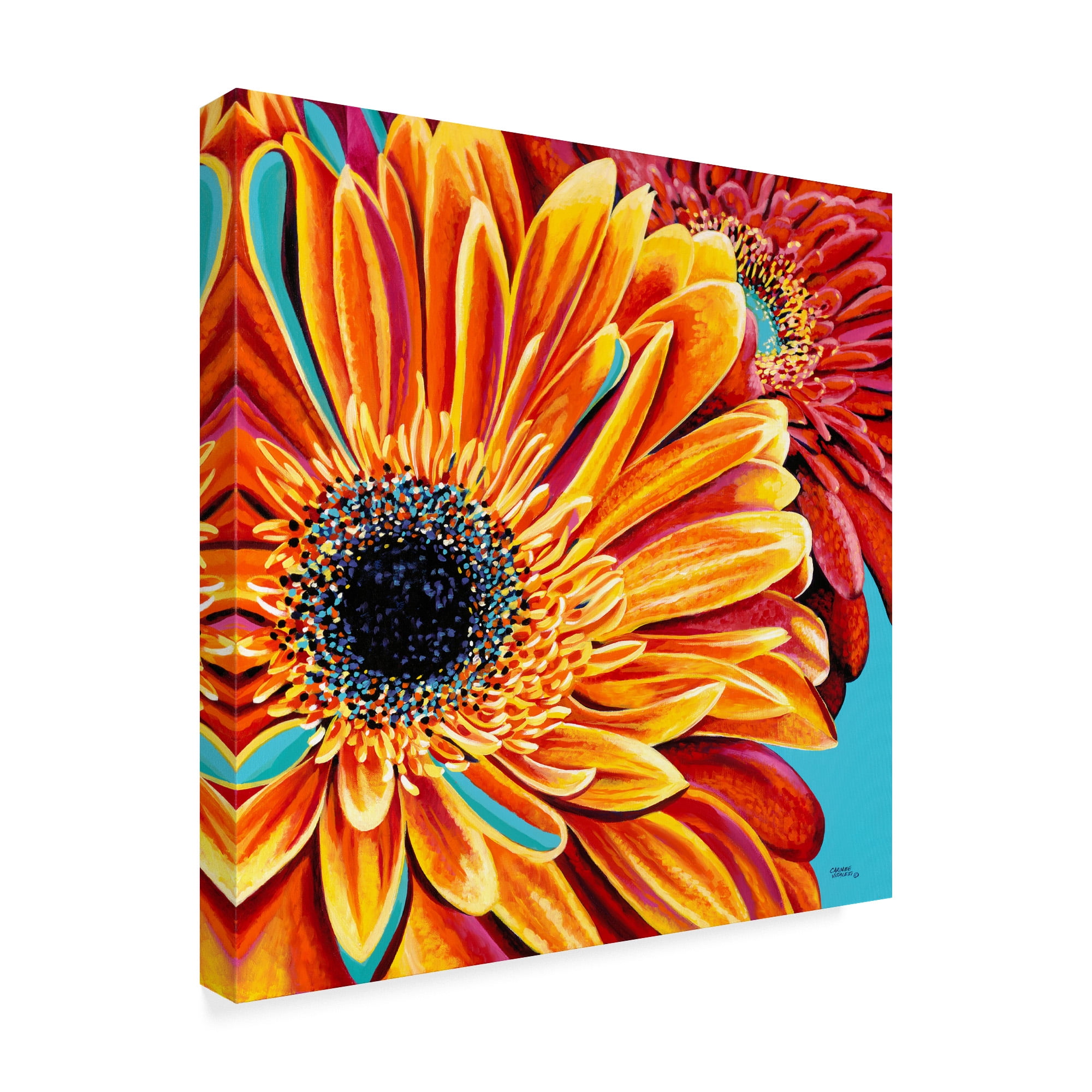 Trademark Fine Art 'Color Bursts II' Canvas Art by Carolee Vitaletti