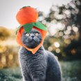 thumbnail image 5 of IFANLANDOR Pet Accessories Pet Hat Plush Orange Decorative 1 Set for Cats, 5 of 5