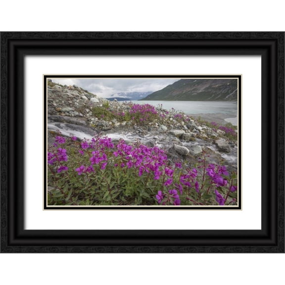 Paulson, Don 32x23 Black Ornate Wood Framed with Double Matting Museum Art Print Titled - Alaska, Glacier Bay NP Small stream cascade
