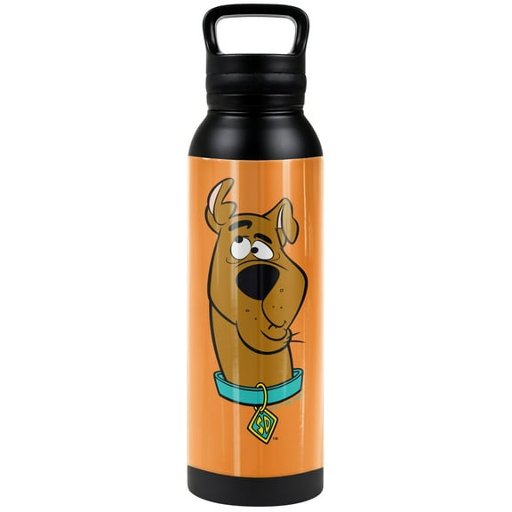 Scooby Doo! Official Confused 24 oz Insulated Canteen Water Bottle, Leak Resistant, Vacuum Insulated Stainless Steel with Loop Cap