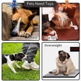 thumbnail image 5 of Juguete interactivo para perros chirriantes, sin relleno, con forma de pulpo y papel arrugado para perros medianos y grandes., 5 of 5