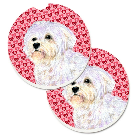 Set of 2 Cup Holder Car Coasters