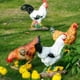 thumbnail image 4 of Estatuas de jardín de gallina de resina, mamá gallina blanca con pollito, figuras M, 4 of 8