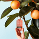 thumbnail image 3 of Limpiador Facial Diario sin Aceite Neutrogena con Pomelo Rosado Salicílico y Vitamina C 3x170ml, 3 of 5