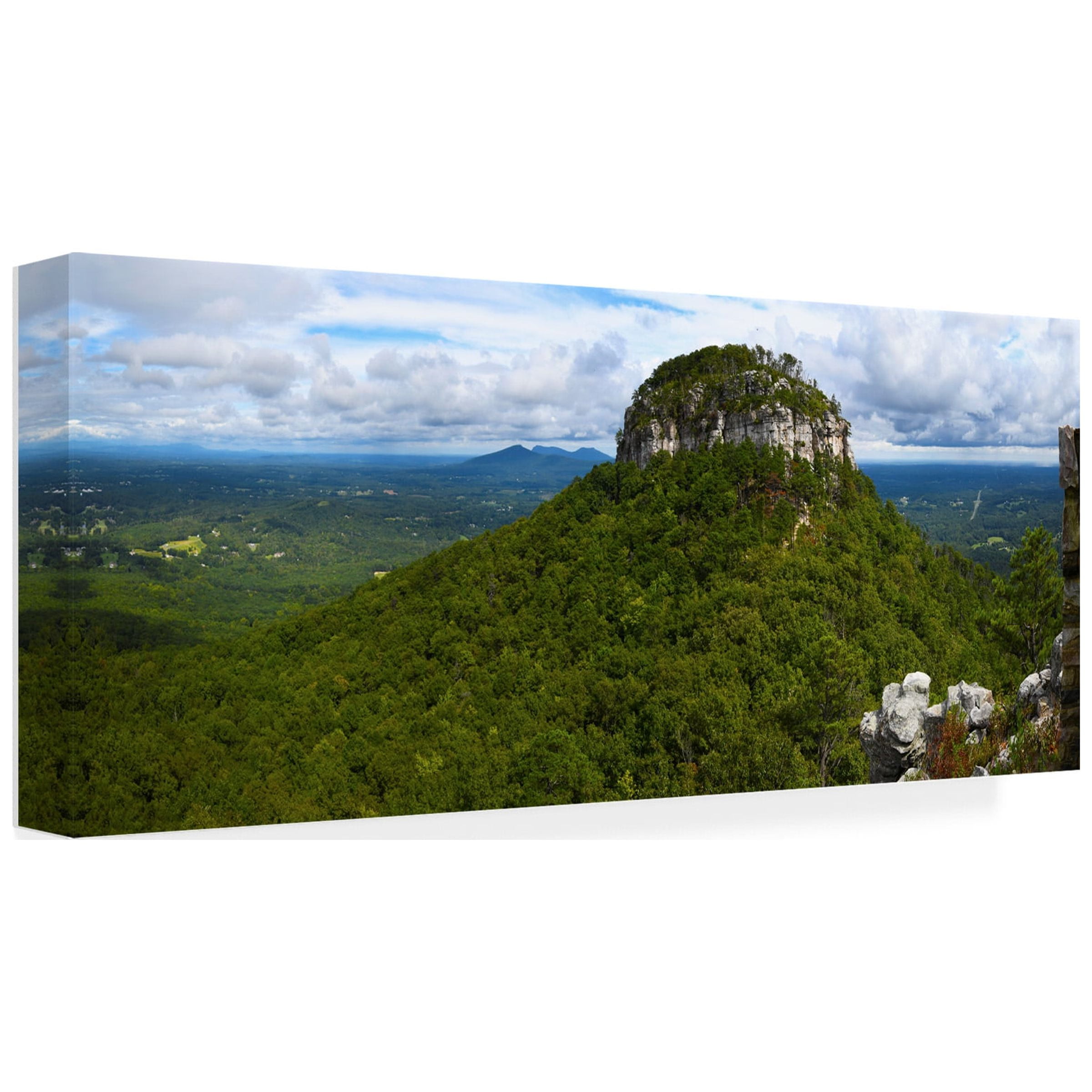 Robert Michaud 'Pilot Mountain Panorama' Canvas Art