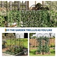 thumbnail image 6 of EastVita 2 Pcs Garden Trellis for Climbing Plants Outdoor Black Metal Arch Trellis for Vegetables/Vines/Flowers-Plant Trellis Outdoor, 6 of 7