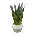 thumbnail image 6 of DecMode 15" Artificial Snake Plant in Realistic Leaves and White Porcelain Pot, 6 of 7