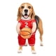 thumbnail image 1 of Basketball Player Dog Costume,dog Basketball Costume With Ball,small Medium Dogs, 1 of 5