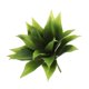 thumbnail image 1 of Uxcell 1Pcs Plantas Suculentas Artificiales Falsas, Planta del Siglo de 14 Pulgadas, Suculentas Verdes, 1 of 5