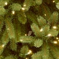thumbnail image 2 of National Tree Company 4 ft. Jersey Fraser Fir Entrance Tree with Clear Lights, 2 of 4