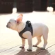 thumbnail image 3 of Petkit Arnés Pechera Para Perro Air Fly, 3 of 8
