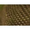 thumbnail image 1 of Ahgly Company Machine Washable Indoor Rectangle Transitional Night Red Area Rugs, 8' x 12', 1 of 7