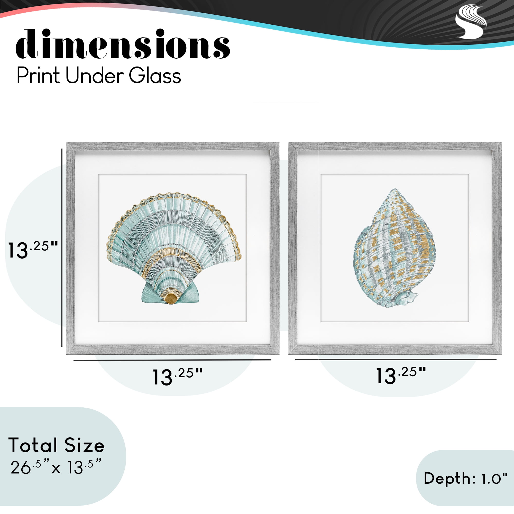 Stupell Industries Regal Clam Shell Duo 2 Piece Gray Framed Print Under Glass Set, design by Lorenzo Collective