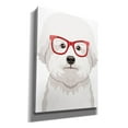 thumbnail image 2 of Epic Graffiti 'Bichon Wearing Hipster Glasses' by Furbaby Affiliates, Canvas Wall Art, 40"x54", 2 of 8