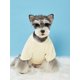 thumbnail image 4 of Debiesn 1pc Grey Pet Graphic Lettering Pink Heart Printed Warm Hoodless Sweatshirt For Cats And Dogs, 4 of 4