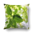 thumbnail image 1 of BOSDECO Green Leaves And Bokeh Spots Pillowcase Pillow Cushion Cover 20x20 inch, 1 of 1