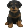 thumbnail image 4 of Ebros Lifelike Realistic Sitting Rottie Rottweiler Puppy Dog Statue 6.25" Tall, 4 of 5