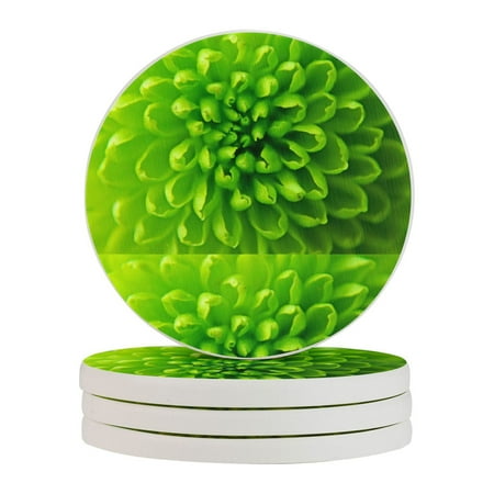 

Circular Drink Coasters Set Green Plant Wallpaper Beautiful Home Decor Diatomite Heat-Resistant Diatomite Protect Table Countertop