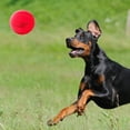 thumbnail image 2 of Pelota clásica para perros Nerf Dog con chirriador interactivo de 3,8 pulgadas Nerf Nerf Dog, 2 of 6