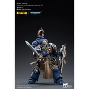 Dark Source Trading - Joytoy WH40K - Bladeguard Veterans 03 1/18 Figure (Net) [COLLECTABLES] Figure, Collectible