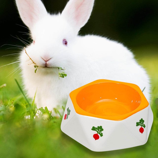 fastboy Non Slip Rabbit Feeder Bowl Feeding Basin for Hedgehog Gerbils Puppy Kitten 14.5cmx4.7cm
