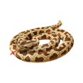 thumbnail image 4 of Muñeco de serpiente de peluche, juguete de animal, abrazable, diseño de dibujos animados, juguete divertido y realista. Marrón, 4 of 9