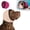 D, variant on Noise Cancelling Ear Wrap, Quiet Comfort Calming Hood for Dogs with Sound-Blocking Rubber Pads for Firework and Thunder Protection, Adjustable Band