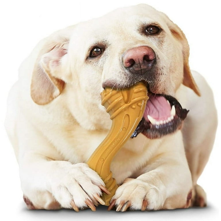 Nylabone Essentials Power Chew Curvy Bone Peanut Butter Flavor Large Walmart