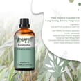 thumbnail image 2 of PHATOIL 30ml Eucalyptus Essential Oil for Diffusers Humidifier Aromatherapy Massage, Pure Undiluted Eucalyptus Oil, 2 of 9