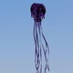 thumbnail image 5 of Cometas suaves grandes y hermosas con forma de animales marinos, cometas 3D de una sola línea para deportes de playa. Púrpura Negro, 5 of 9