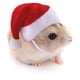 thumbnail image 5 of Disfraz de conejillo de Indias de 2 piezas, gorro navideño para gatito, gorro navideño para mascotas, gorro de Papá Noel, accesorios para la cabeza, 5 of 6