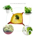 thumbnail image 4 of Alfombrilla de trasplante de plantas YONGSHENG impermeable para interiores, 4 of 5