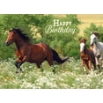 thumbnail image 6 of Birthday - Wild Horses - Assorted Birthday Cards, 6 of 10