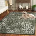 thumbnail image 4 of SAFAVIEH Adirondack Wyatt Traditional Distressed Area Rug, Dark Green/Ivory, 2' x 3' - Transitional Modern Design, Dark Green & Ivory, Ideal for Living Room, Bedroom, Dining Space, Entryway, Bathroom, 4 of 14