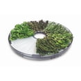 thumbnail image 2 of Salton Food Dehydrator DH1454, 2 of 8
