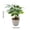 Green, variant on Artificial Money Tree Bonsai, Realistic Artificial Green Plant in Pot, Office Desk Decor for Good Luck & Wealth, Low Maintenance Indoor Plant