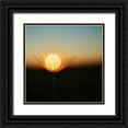 thumbnail image 1 of Riha, Milan 20x20 Black Ornate Wood Framed with Double Matting Museum Art Print Titled - Trapped in a downy tuft, 1 of 4