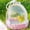 💖Pink_Hot#675, variant on Small Pet Travel Carrier Portable Bird Cage for Parrots and Small Birds with Perch Lightweight Clear Plastic Small Animal Carrier for Travel and Vet Visits