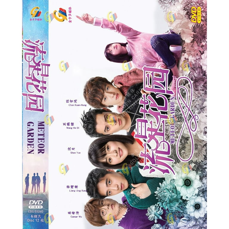 Meteor Garden 2018 Chinese TV Drama DVD Boxset