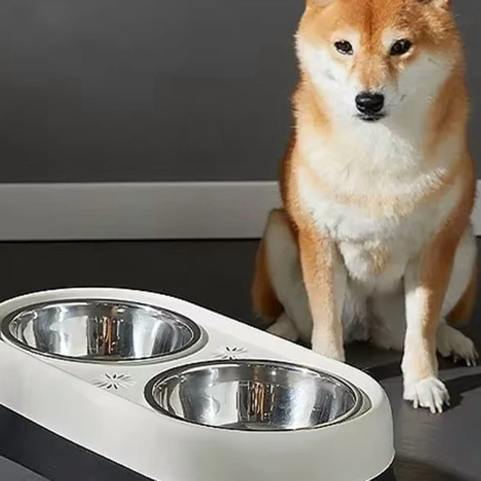 Dog Elevated Feeder Anti Knock Stainless Steel Raised Dog Bowl Elevated Bowls for Dog Cat Bowl