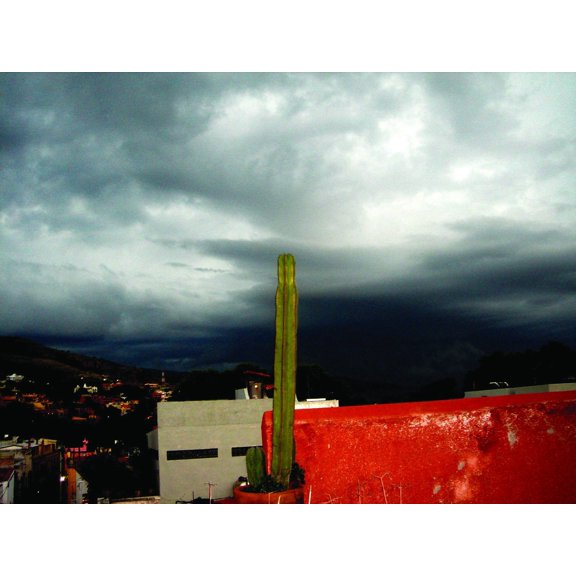 Warren Mexico V Wall Decal