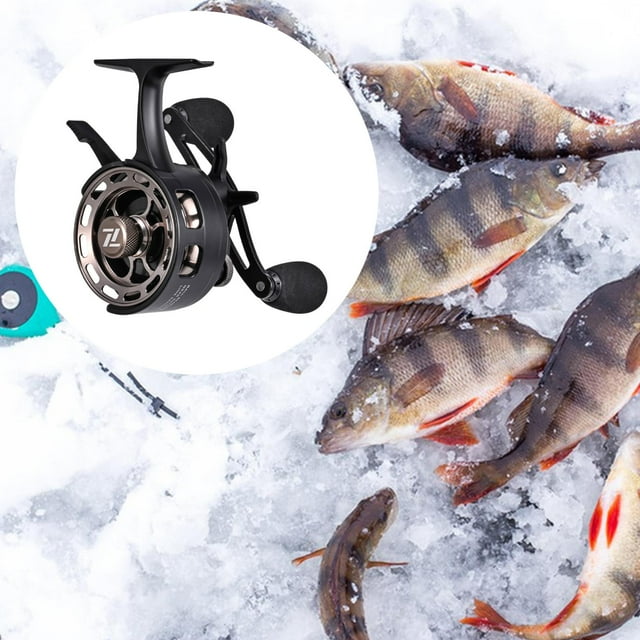 Colaxi Moulinet de Pêche sur Glace 3.2:1 Rapport de Démultiplication Réparation Remplacement Outil Ultraléger Équipement de Pêche 3+1 Roulements Métalliques pour Rivière en Eau Salée Noir Main Droite