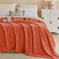 thumbnail image 3 of IR Imperial Rooms Fleece Bed Blanket 310 GSM Microfiber Lightweight Warm Blanket Fluffy Cozy Plush Throw Rust Twin Size, 3 of 14