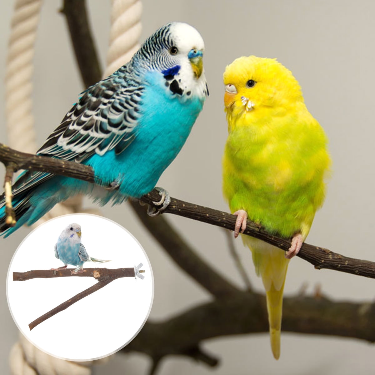 Natural Wooden Bird Cage Stand Pole Accessories Budgies Parakeet Lovebirds Size C Paw Grinding Standing Climbing Perch for Parrot Natural Wooden Parrot Bird Perch Stand 